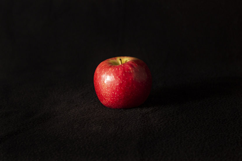 Exploring the wide world of photography with an open mind 