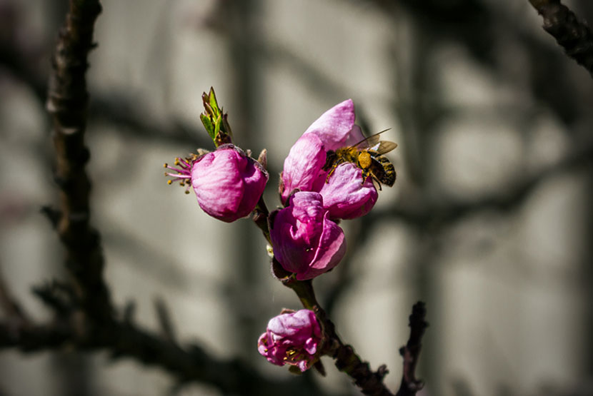 Exploring the wide world of photography with an open mind 