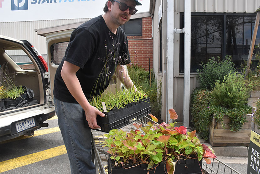Some like it wet: the impacts of climate change on local plant life