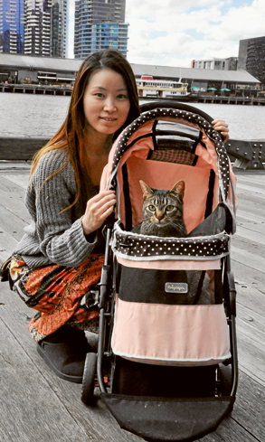 Cats of Docklands