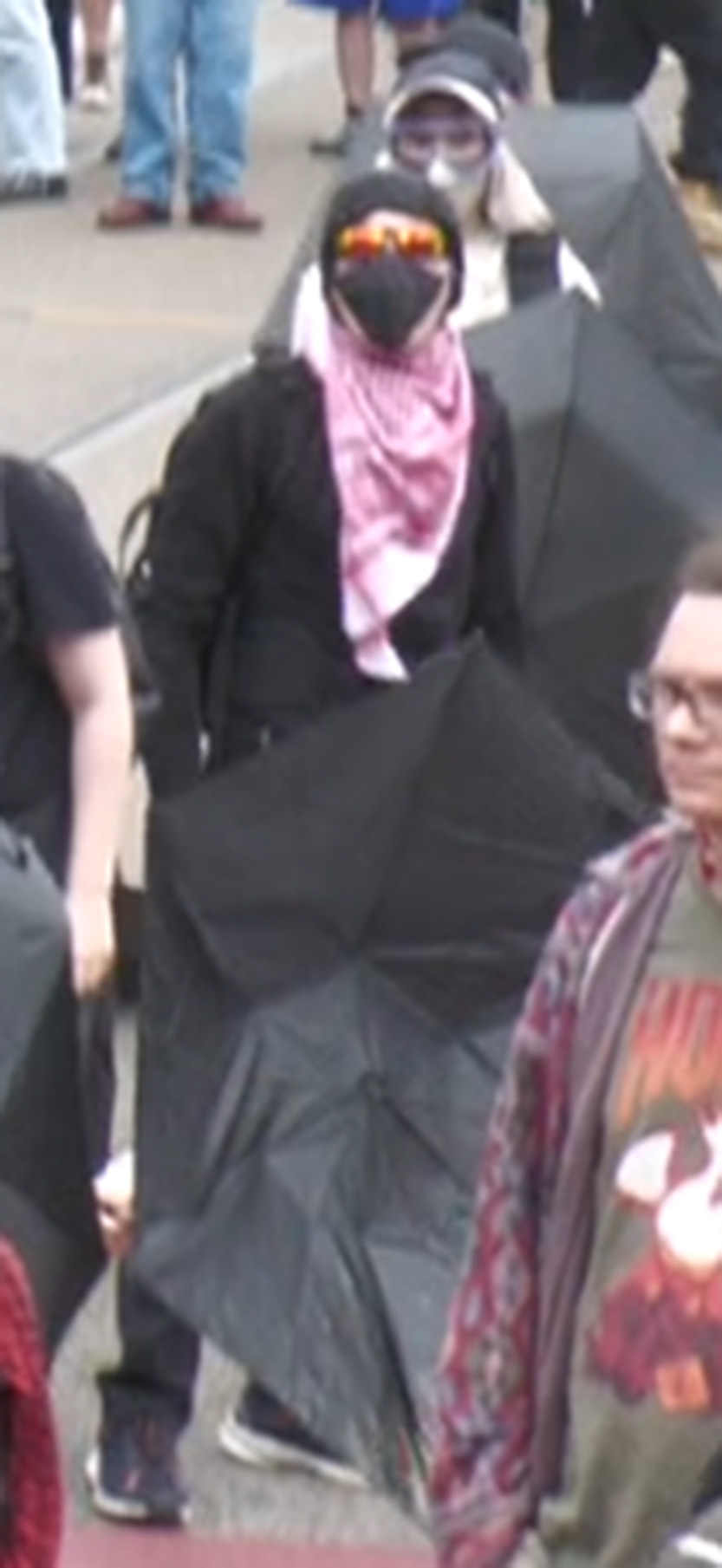 Continued public appeal after police assaulted at Melbourne protest