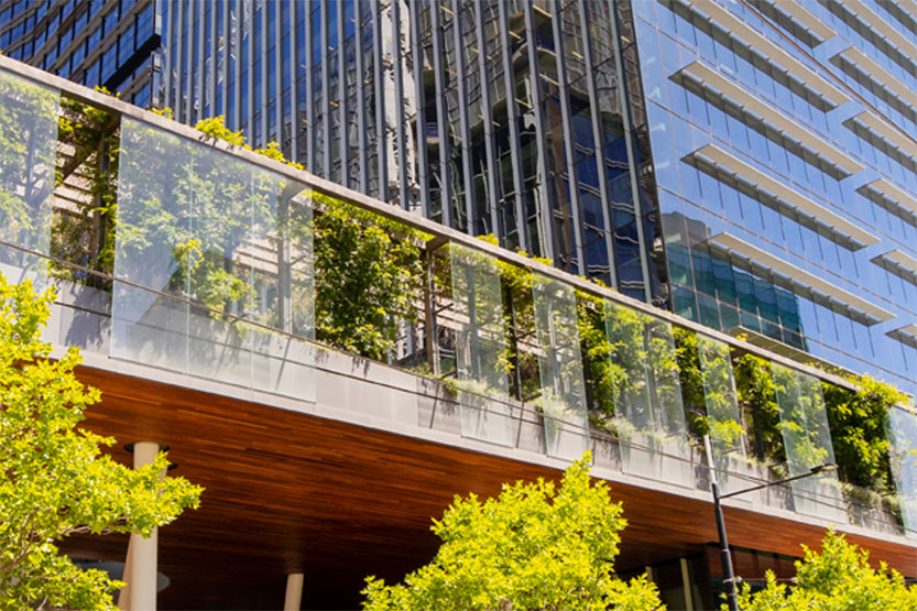 Council proposes bold action to green city buildings