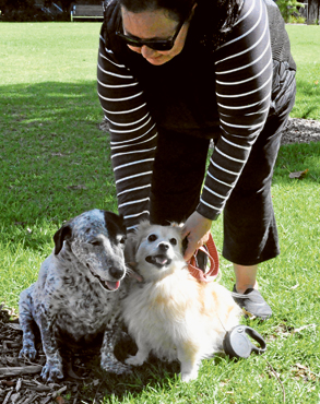 Michelle’s perfect pups