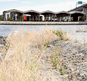 Plans for old shed on track