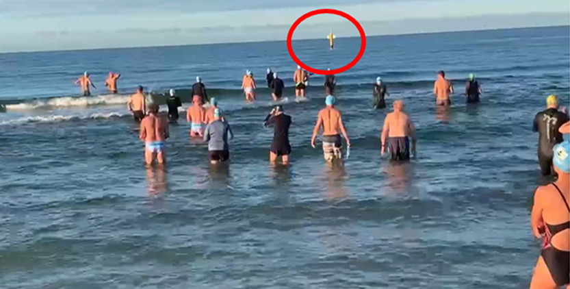 Port Phillip Bay swim trail could become an Australian first