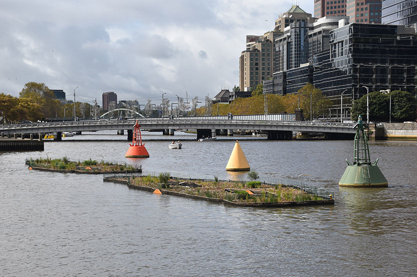 “Floating wetlands” series makes its way upstream