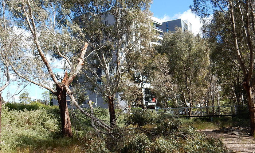 News from Parkville Gardens
