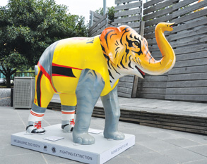 Elephants on the loose