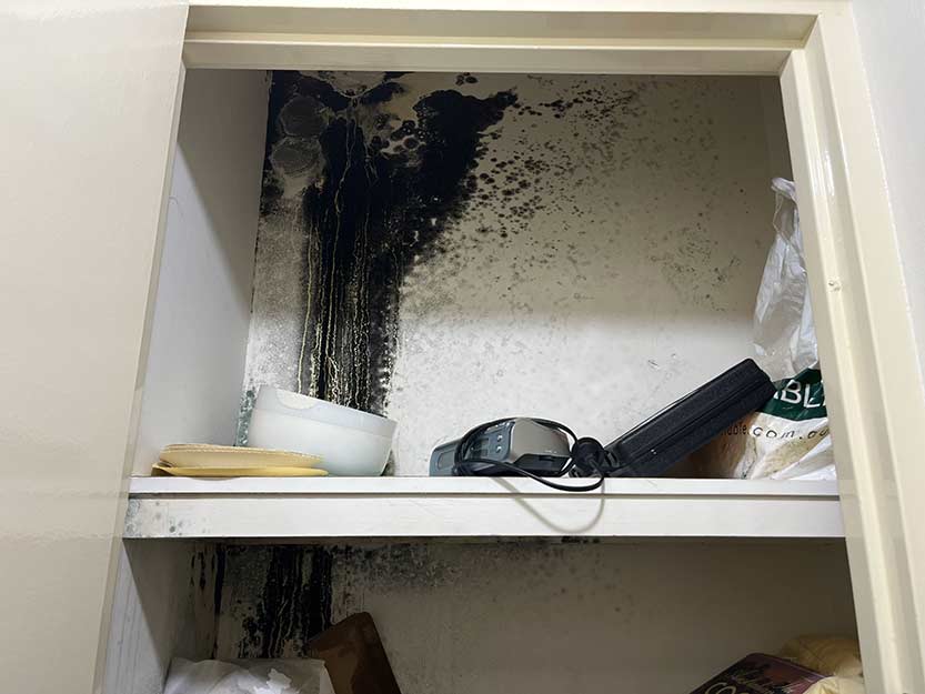 Residents of high-rise tower plead for help as sewage leak overruns building
