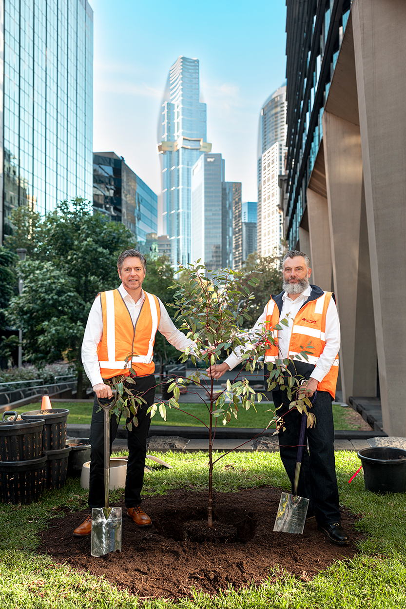 Council’s latest “tree-thousand” push