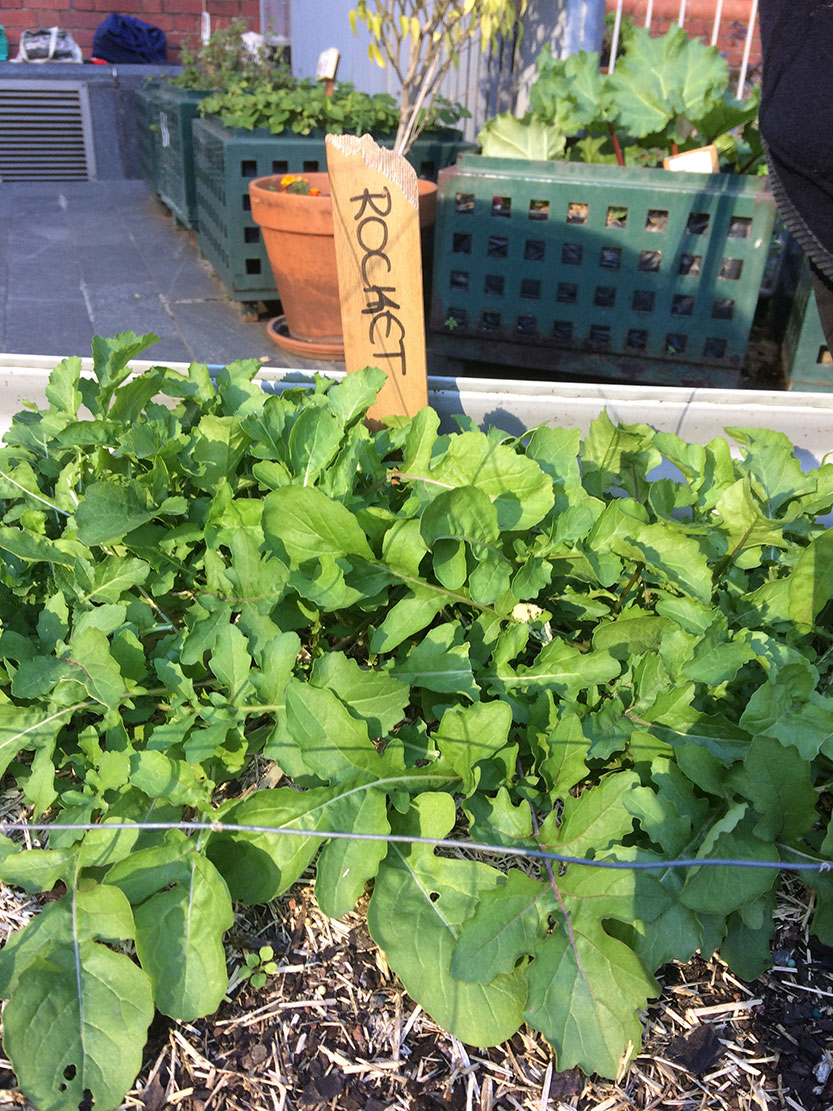 Preparing for spring planting 