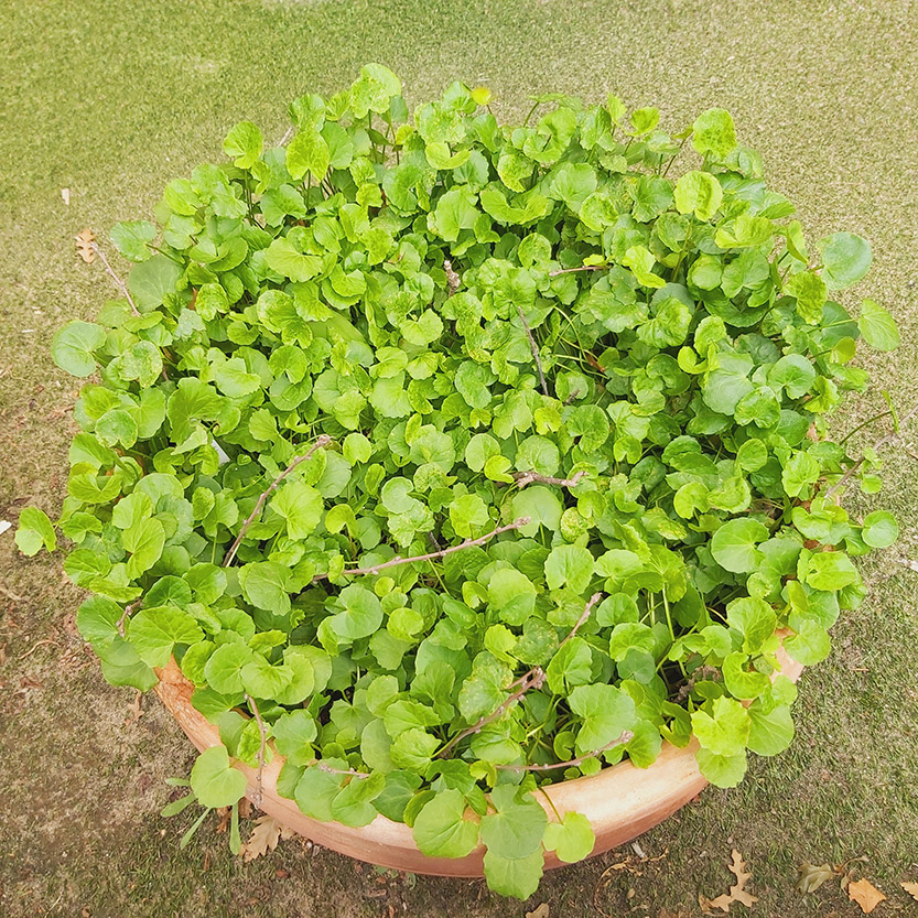 Spring is just around the corner