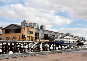 Works begin on Central Pier