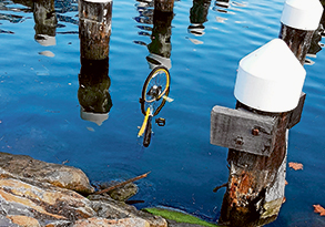 oBike found in water