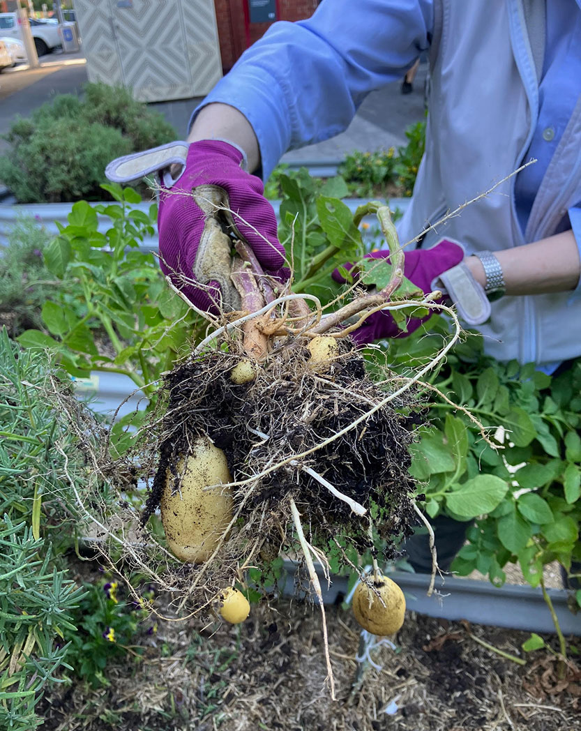Sustainable events this November