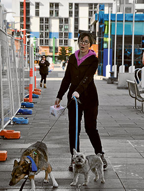 How spoiled are these dogs?