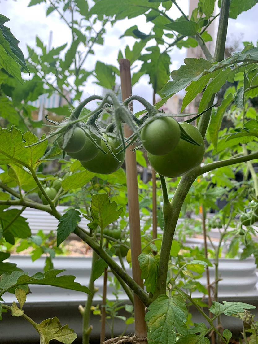 Another year of green gains for Southbank