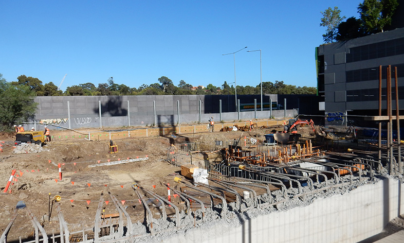 The latest from Parkville Gardens