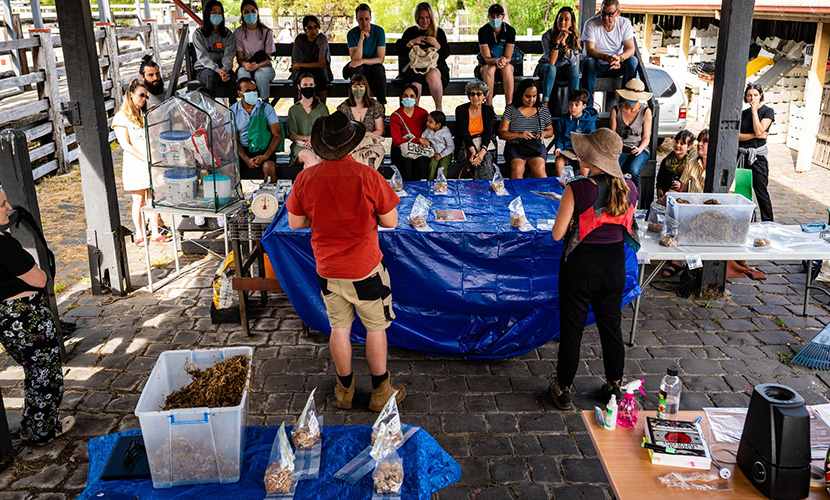 A community that plants together, grows together