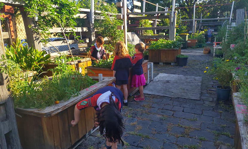A community that plants together, grows together