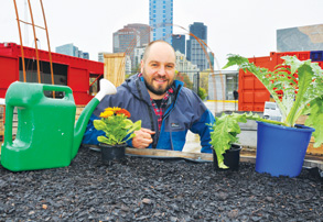 Get your green thumb on