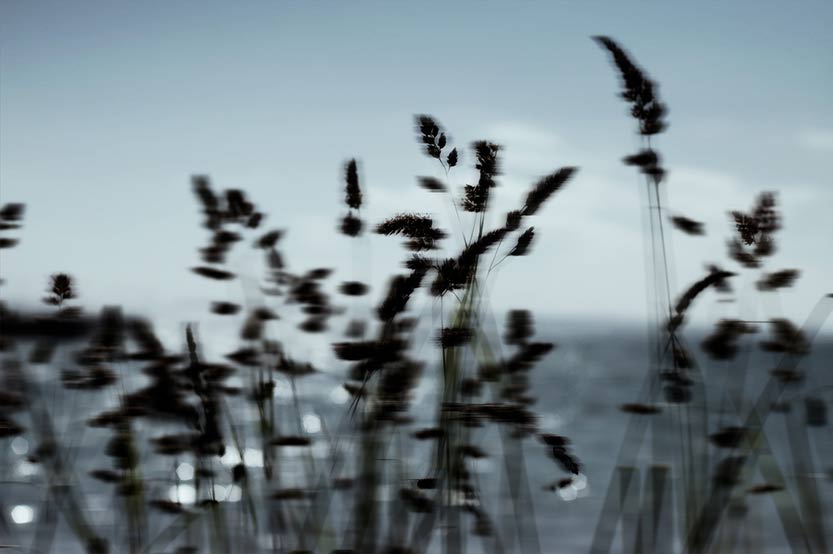 Marg Alexander reignites her love of photography at PSC