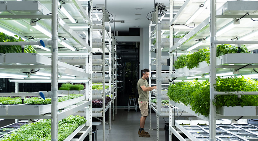 Beulah explores “urban farm” at its Southbank site