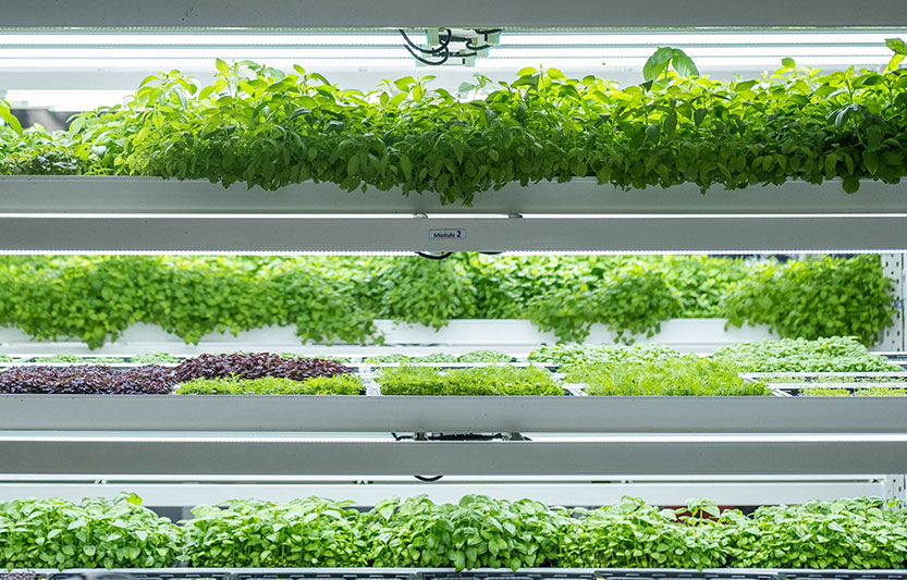 Beulah explores “urban farm” at its Southbank site