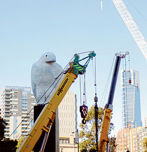Big bird takes flight