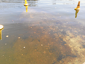 Is granitic sand silting the Yarra?