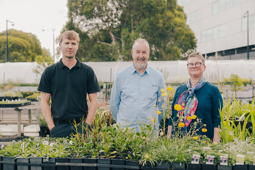 Beautiful and thriving: three-year trial to choose plants for giant new Southbank garden
