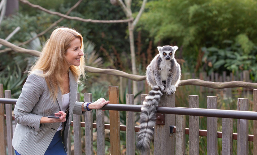 Zoo puts the spotlight on wildlife photography