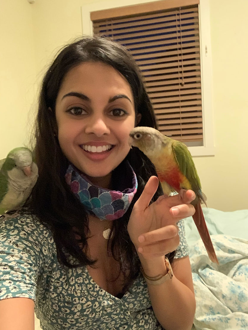 Cheeky parrot returns home thanks to a heartfelt community effort