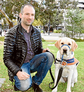 Training a guide dog