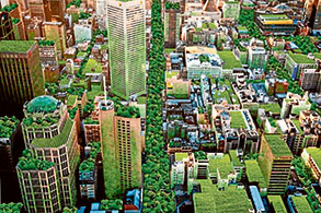 Council declares climate emergency