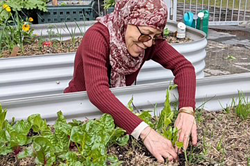 Build new skills, create connections and grow sustainable food