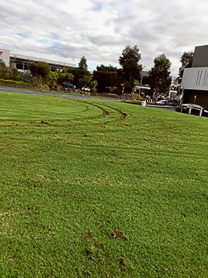 Police target hoons