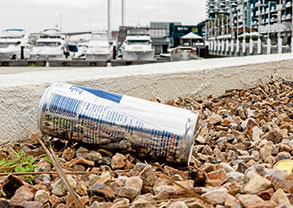 ‘‘Spring clean’’ Docklands!