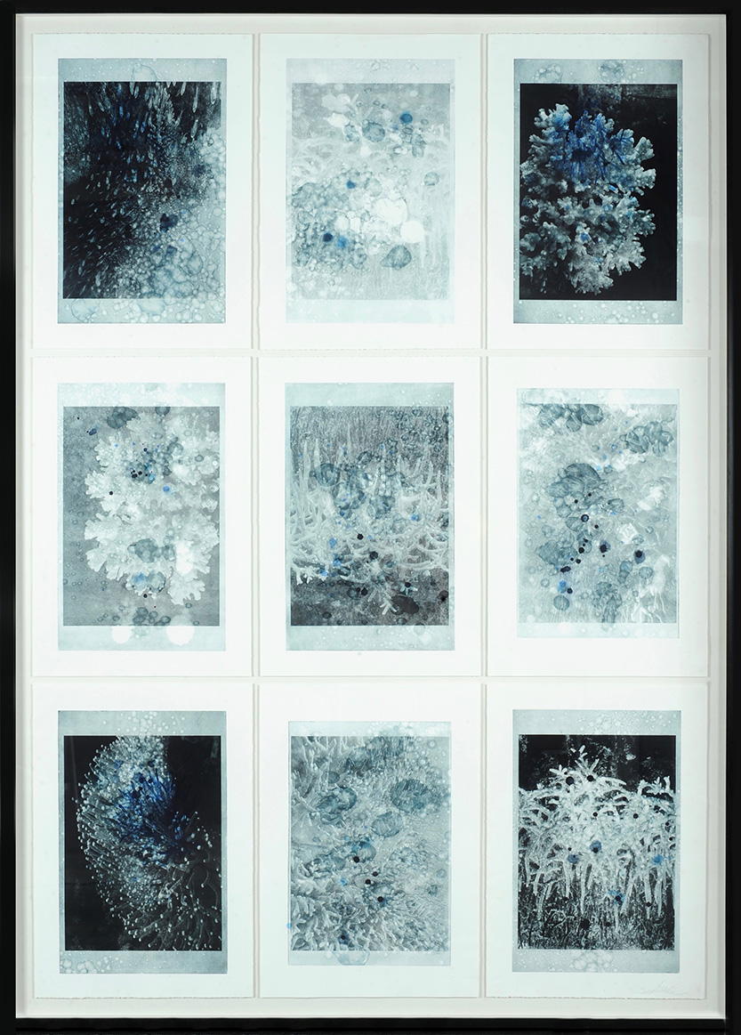 Southbank artist explores the fragility of coral reefs in new exhibition Shifting Currents