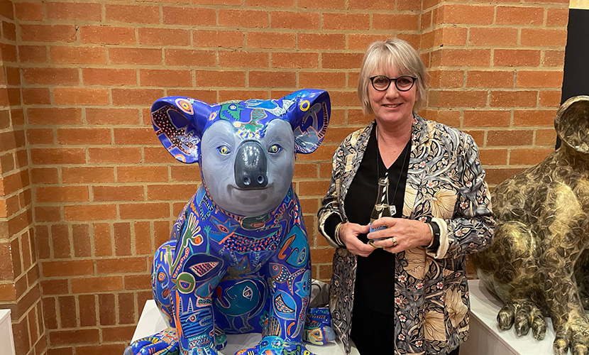 Haileybury’s student koala project becomes a beacon of hope