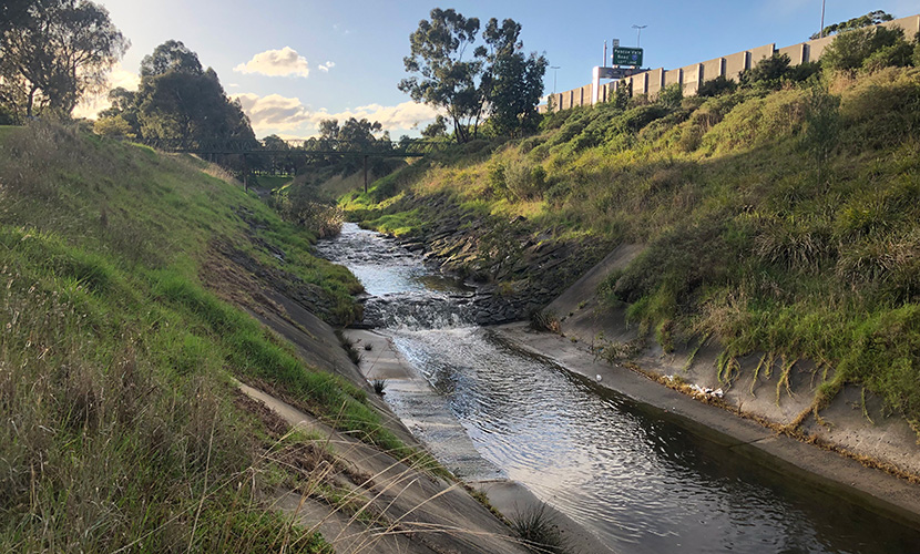 Labor pledges $2.84 million to Moonee Ponds Creek restoration