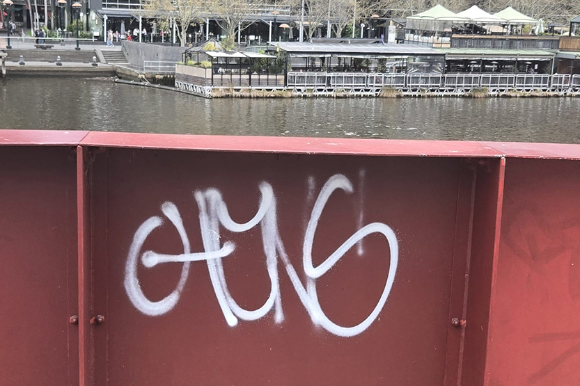 “Need to get our own backyard in order”: SRA’s plea to council on graffiti