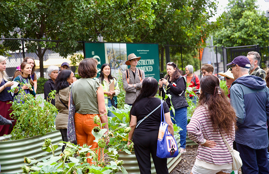 Biodiversity conservation and community gardening at Southbank