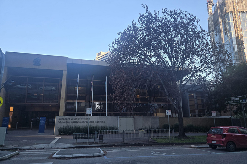 When a Southbank tree dies, the loss is bigger than it looks