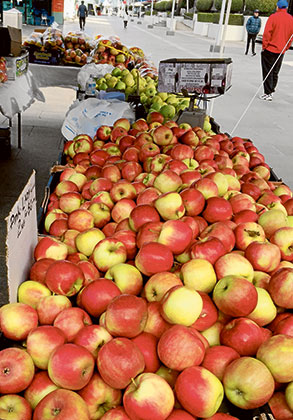 Sunday market is back!
