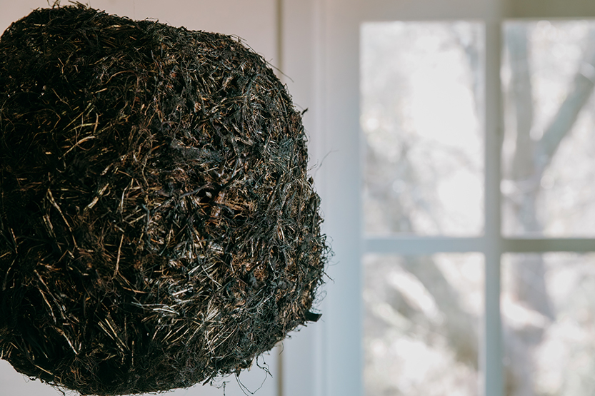 Nature takes over at Haiku Gladstone
