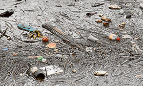 Too much rubbish!