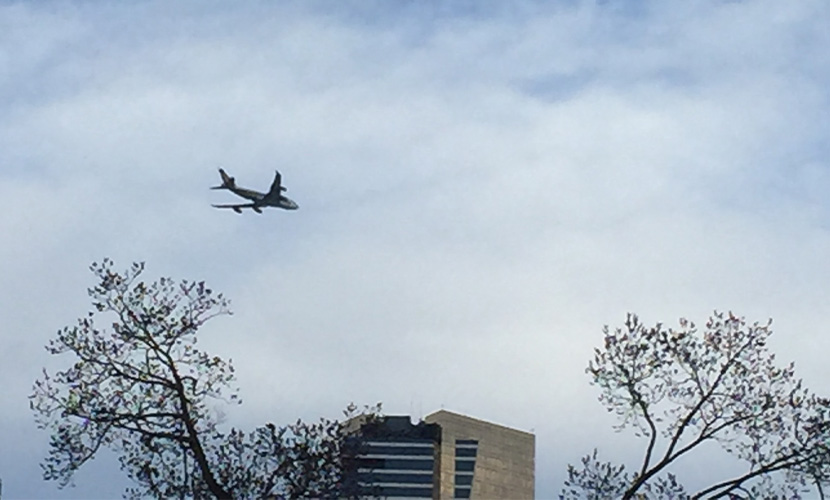 Re-elected Greens leader vows to help curb aircraft noise for East Melbourne