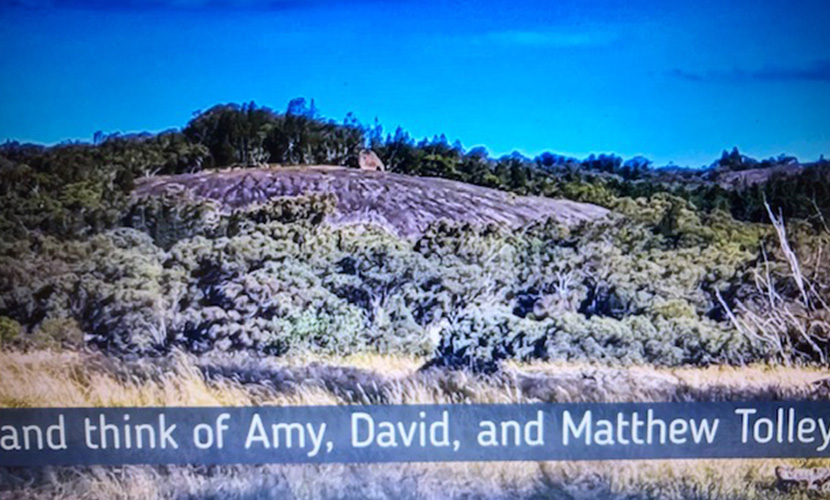 From the Burns Unit and a Beechworth boy to advanced trauma units in Israel/Palestine