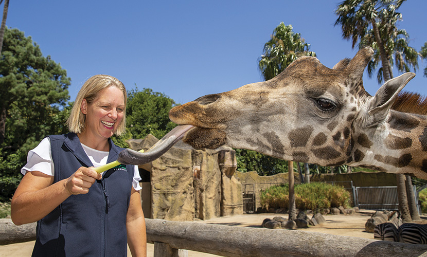 Melbourne Zoo director Michelle Bruggeman resigns